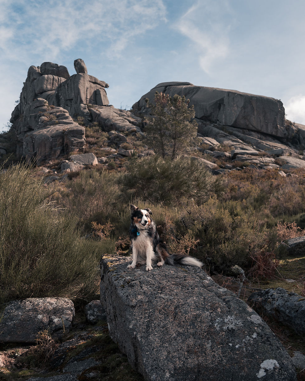 Travel Photography - JZeppelina - Luna at Peneda Trail