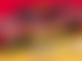 Todd Gilliland and the No. 38 Georgia Peanuts Ford Mustang Team