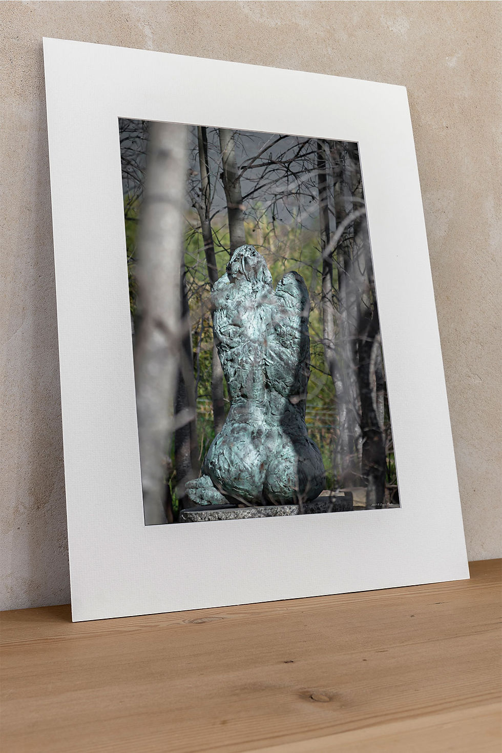 Thumbnail: 'Dylan Lewis Sculpture Garden 1'