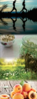 28 - 30 Sep 2018 | SPRING WELLNESS RETREAT with Daniel Jardim