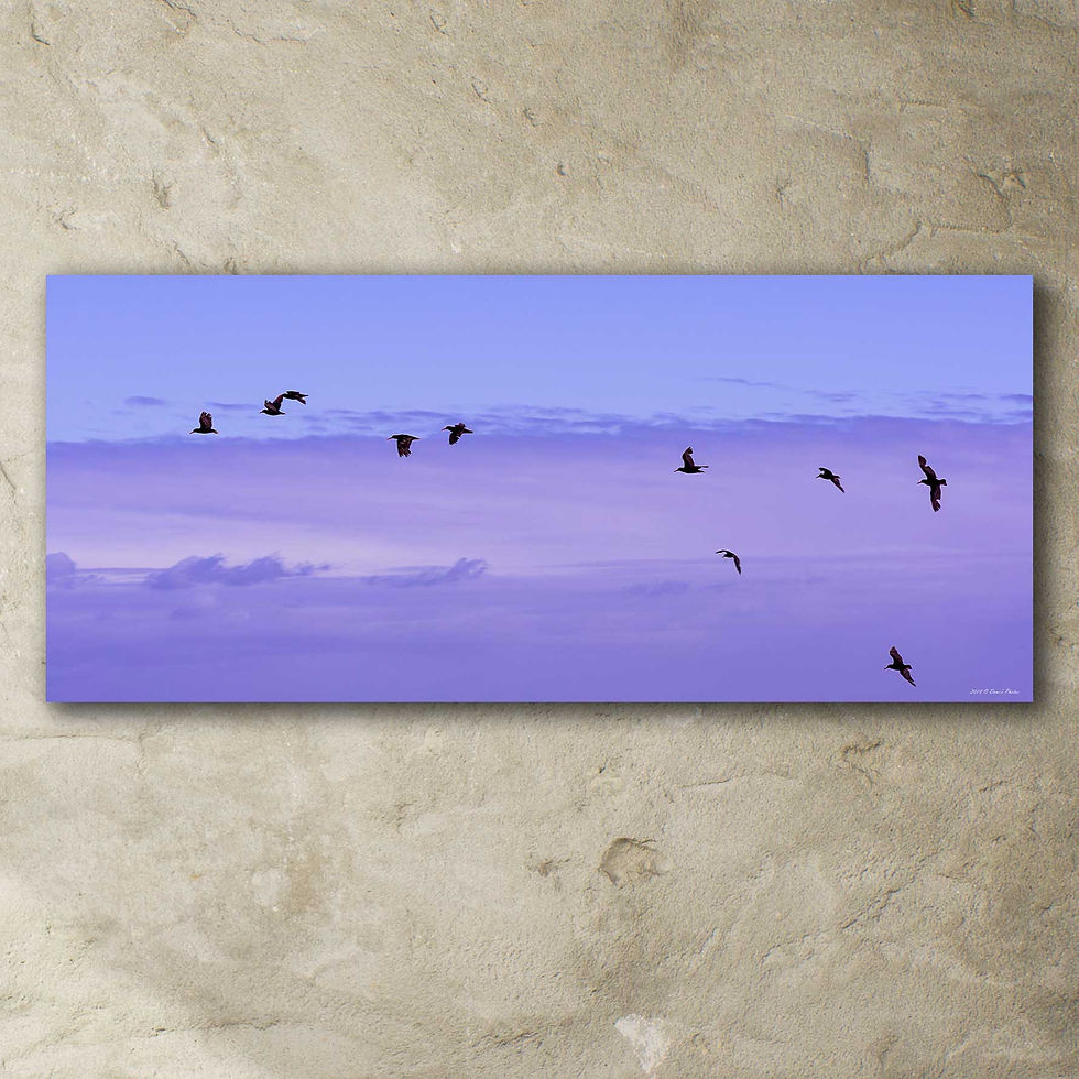 Thumbnail: 'winter by the ocean 2'
