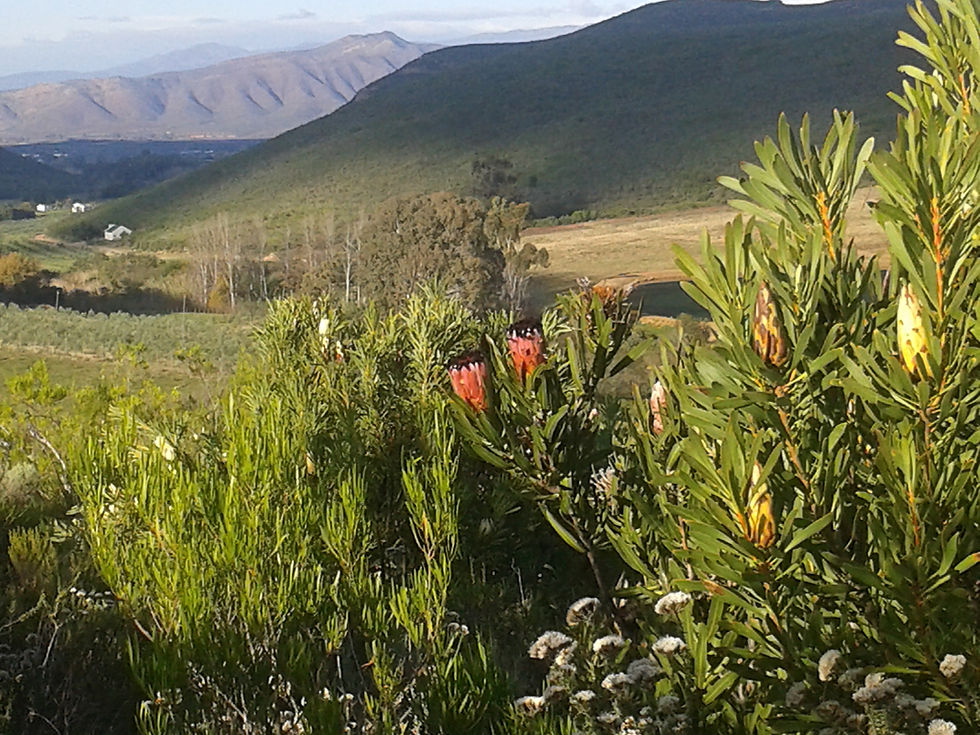 Thumbnail: ASSEGAI HOUSE