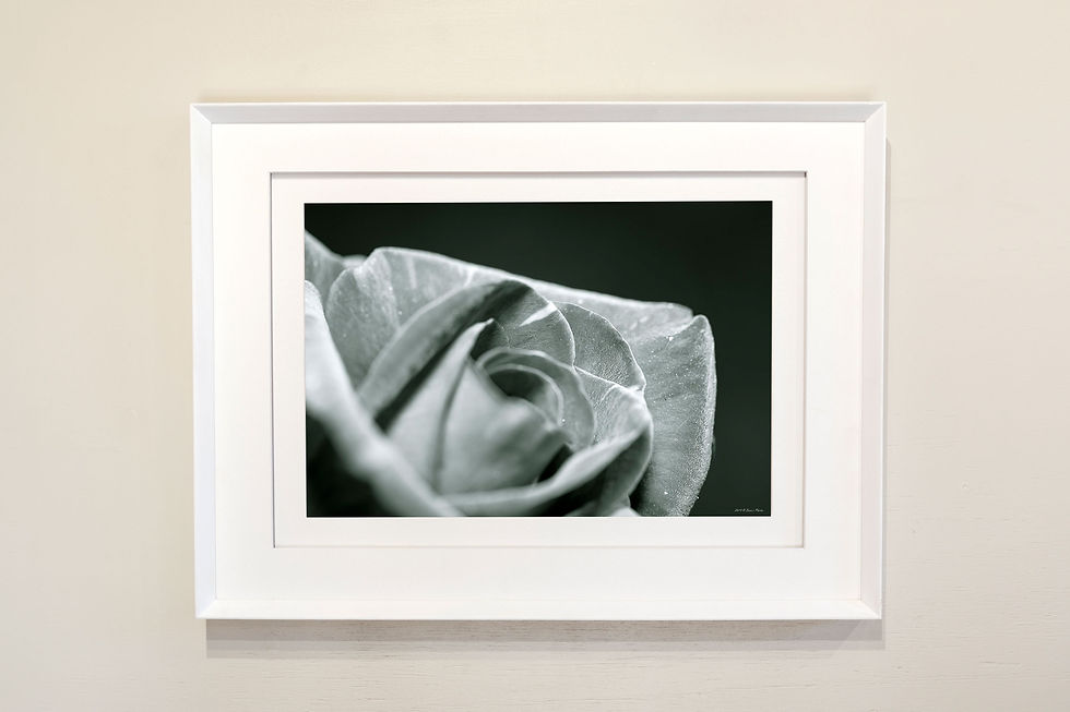 Thumbnail: 'nude by nature 2'