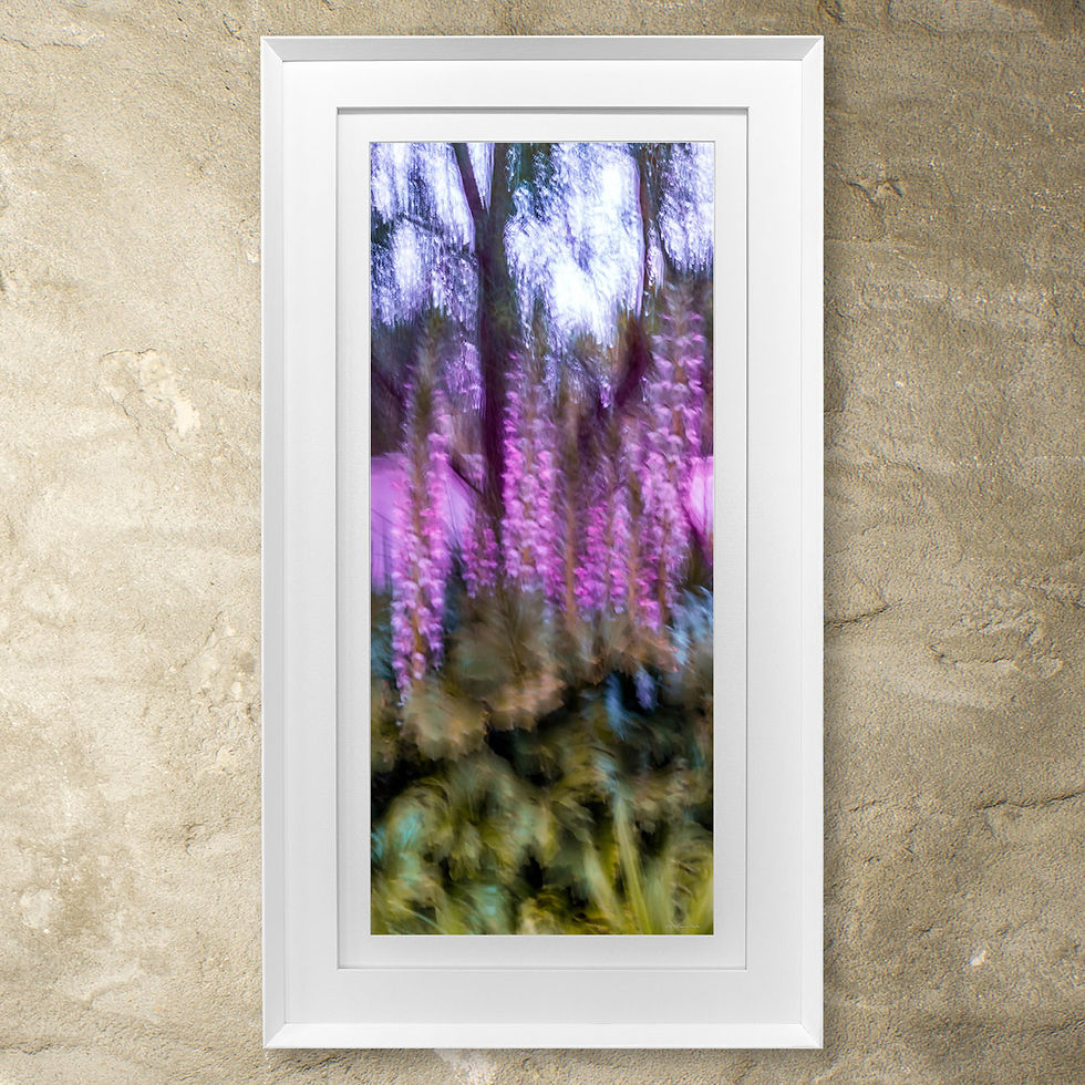 Thumbnail: 'Inner-Garden VII'