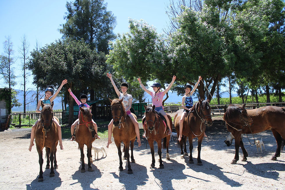 Thumbnail: ROBERTSON HORSE ADVENTURES
