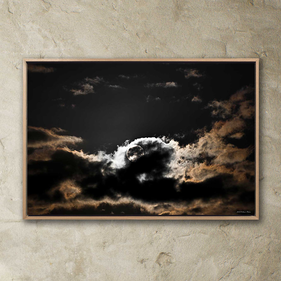 Thumbnail: 'the bright edge'