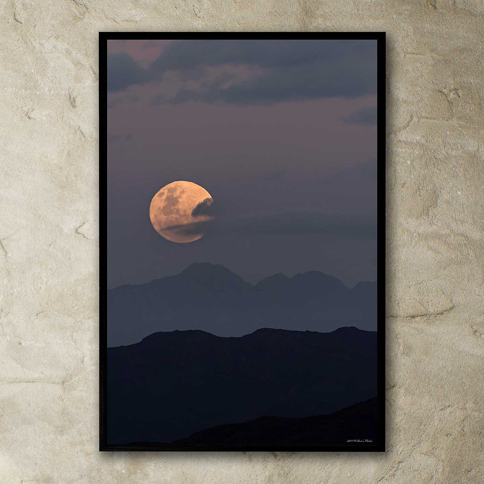 Thumbnail: 'full moon rising 1'