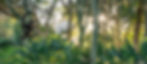 _D7N2339-HDR