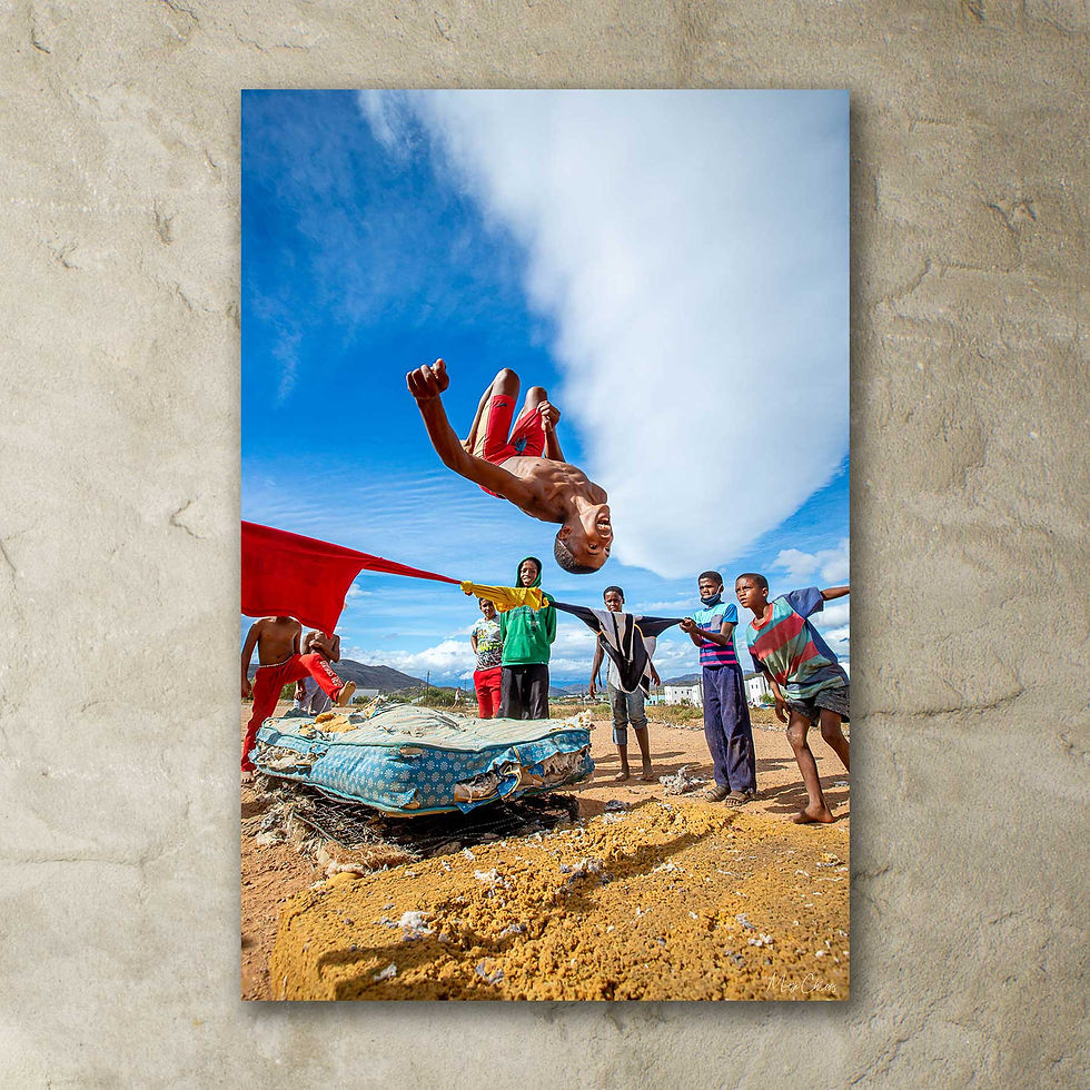 Thumbnail: The Springboard of Dreams