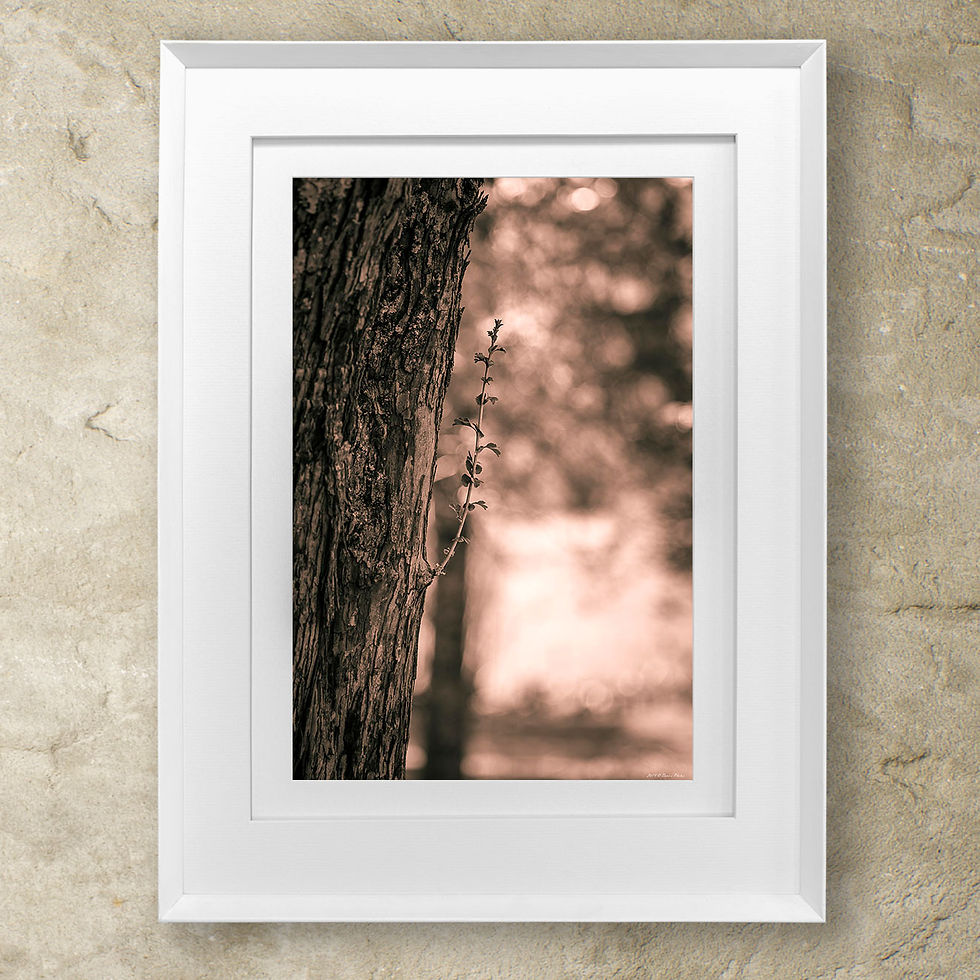 Thumbnail: 'new beginning'