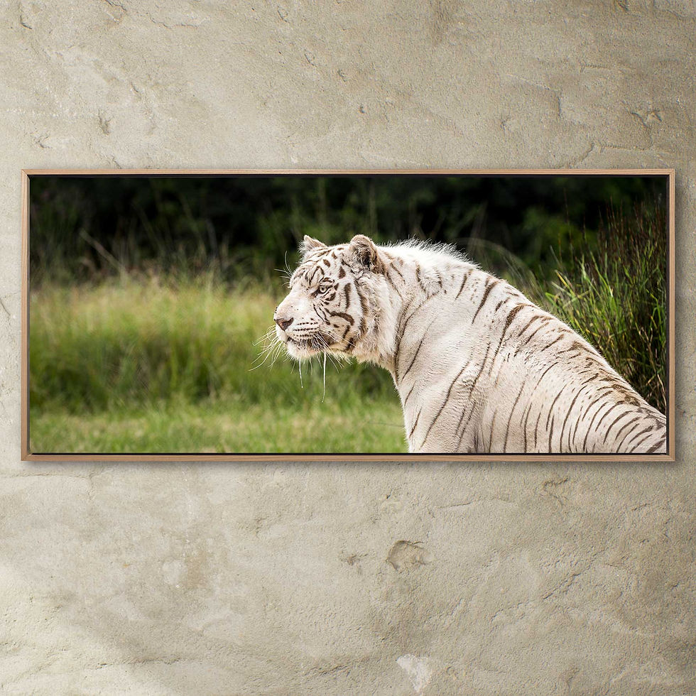 Thumbnail: 'Tiger 2'