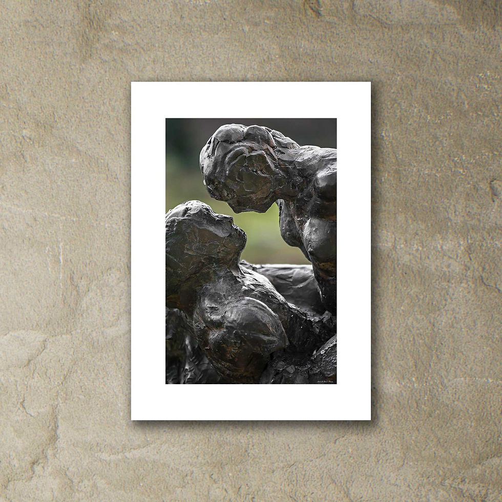 Thumbnail: 'Dylan Lewis Sculpture Garden 22'