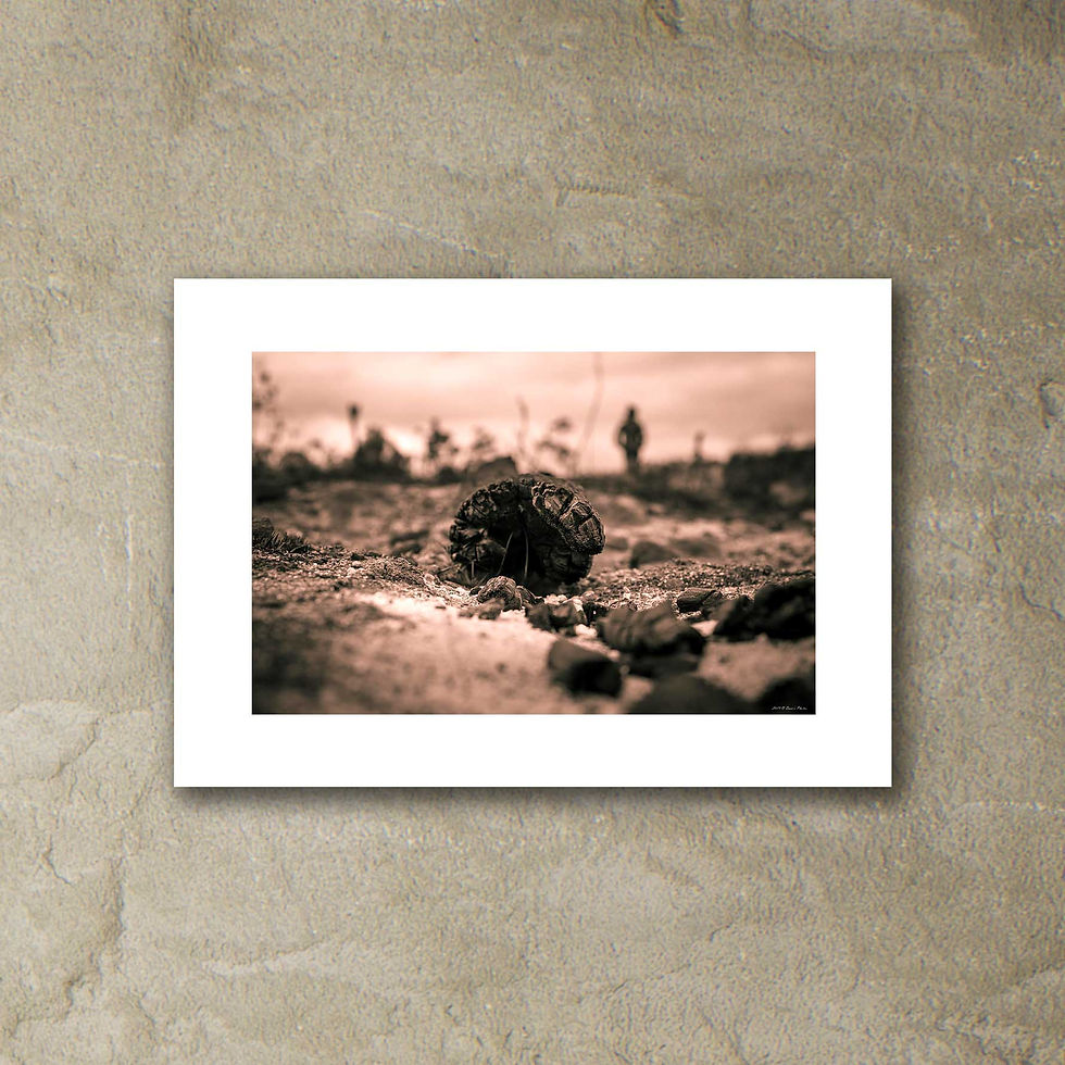 Thumbnail: 'look forward'