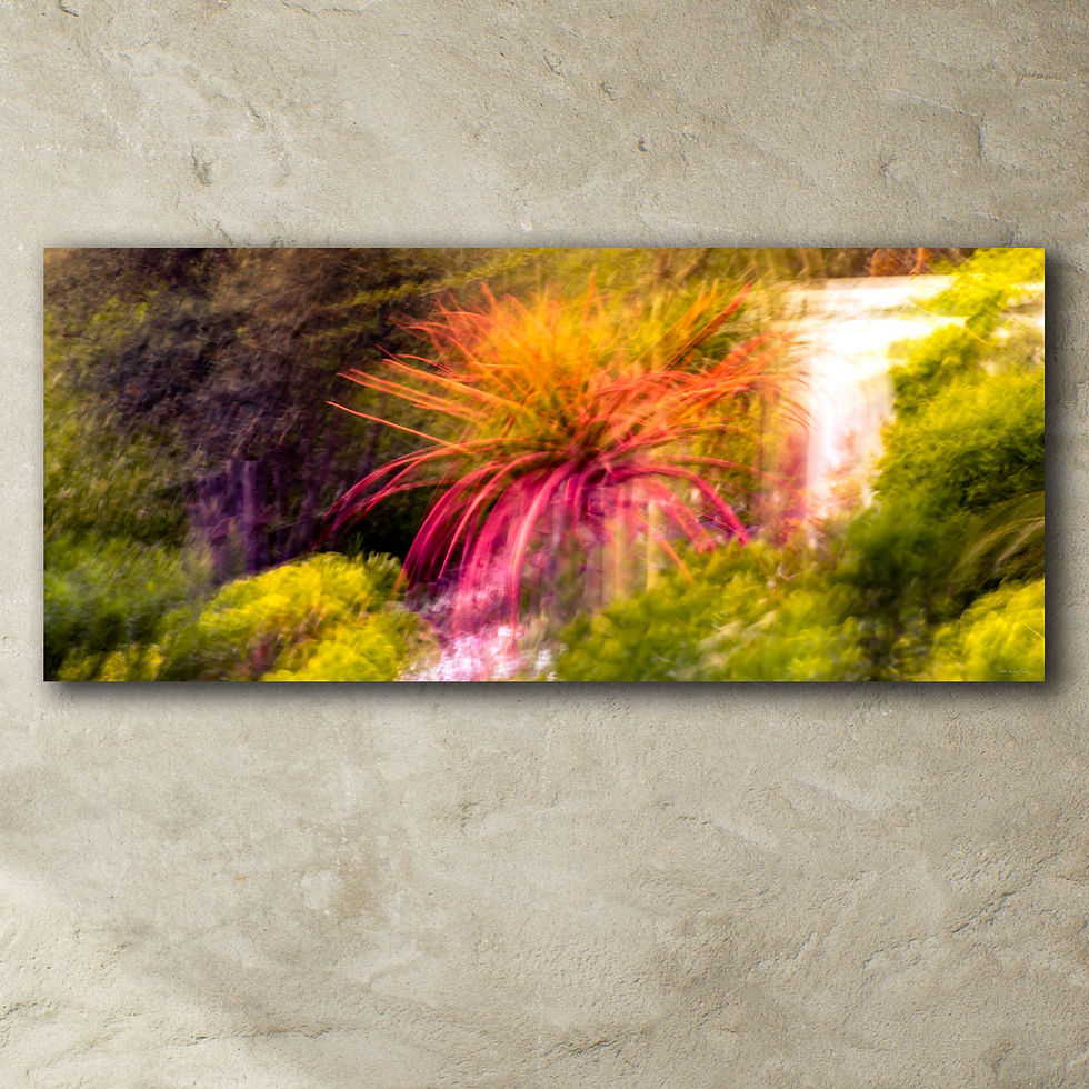 Thumbnail: 'Inner-Garden I'