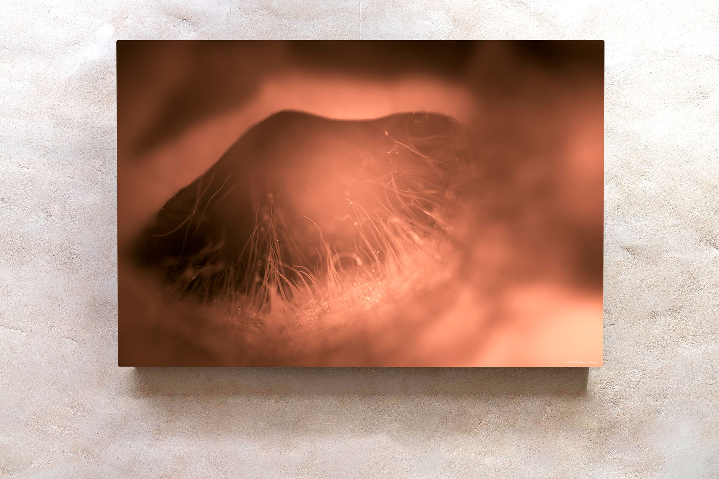 'cave of creation'