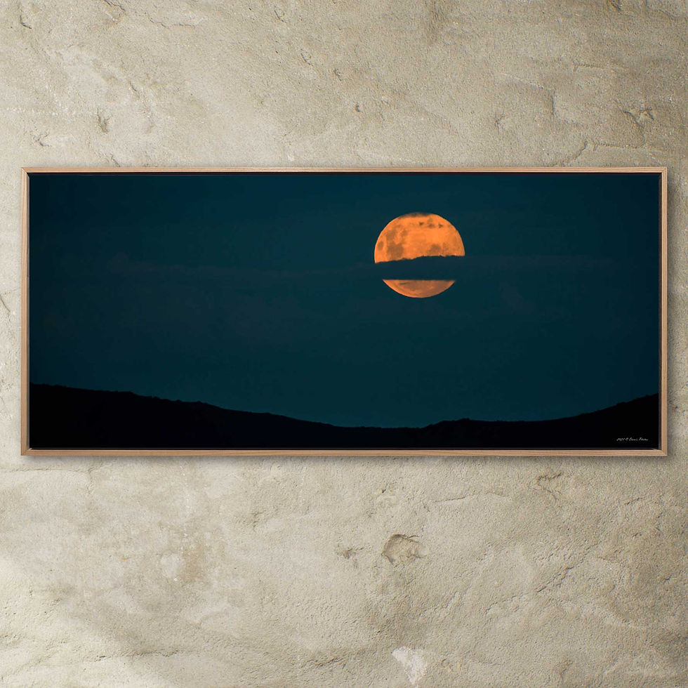 Thumbnail: 'pink moon'