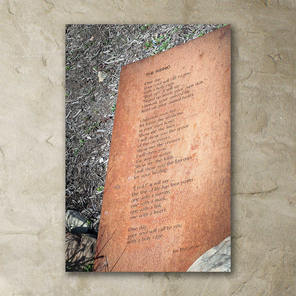 Thumbnail: 'Dylan Lewis Sculpture Garden 6'