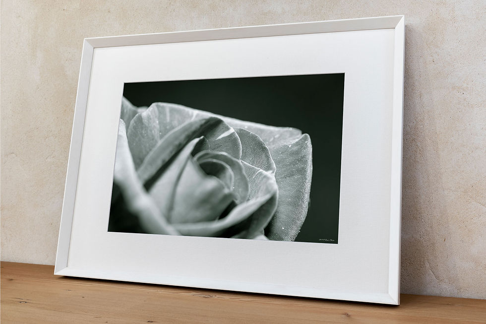 Thumbnail: 'nude by nature 2'