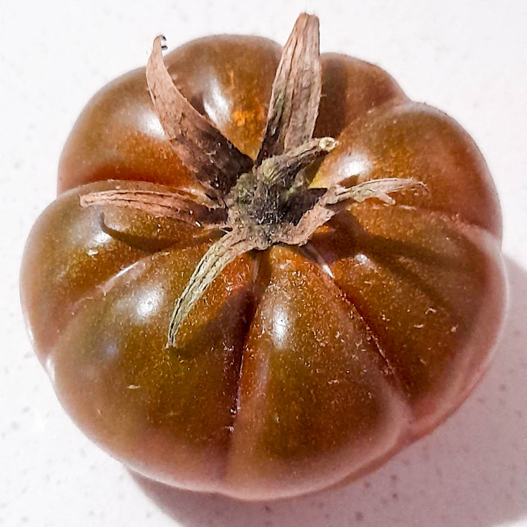 Chocolate Champion Tomato - ORGANIC