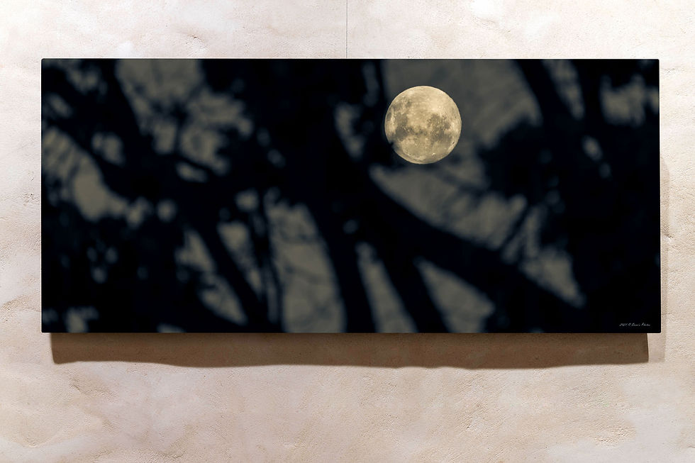 Thumbnail: 'Wolf Moon 1'