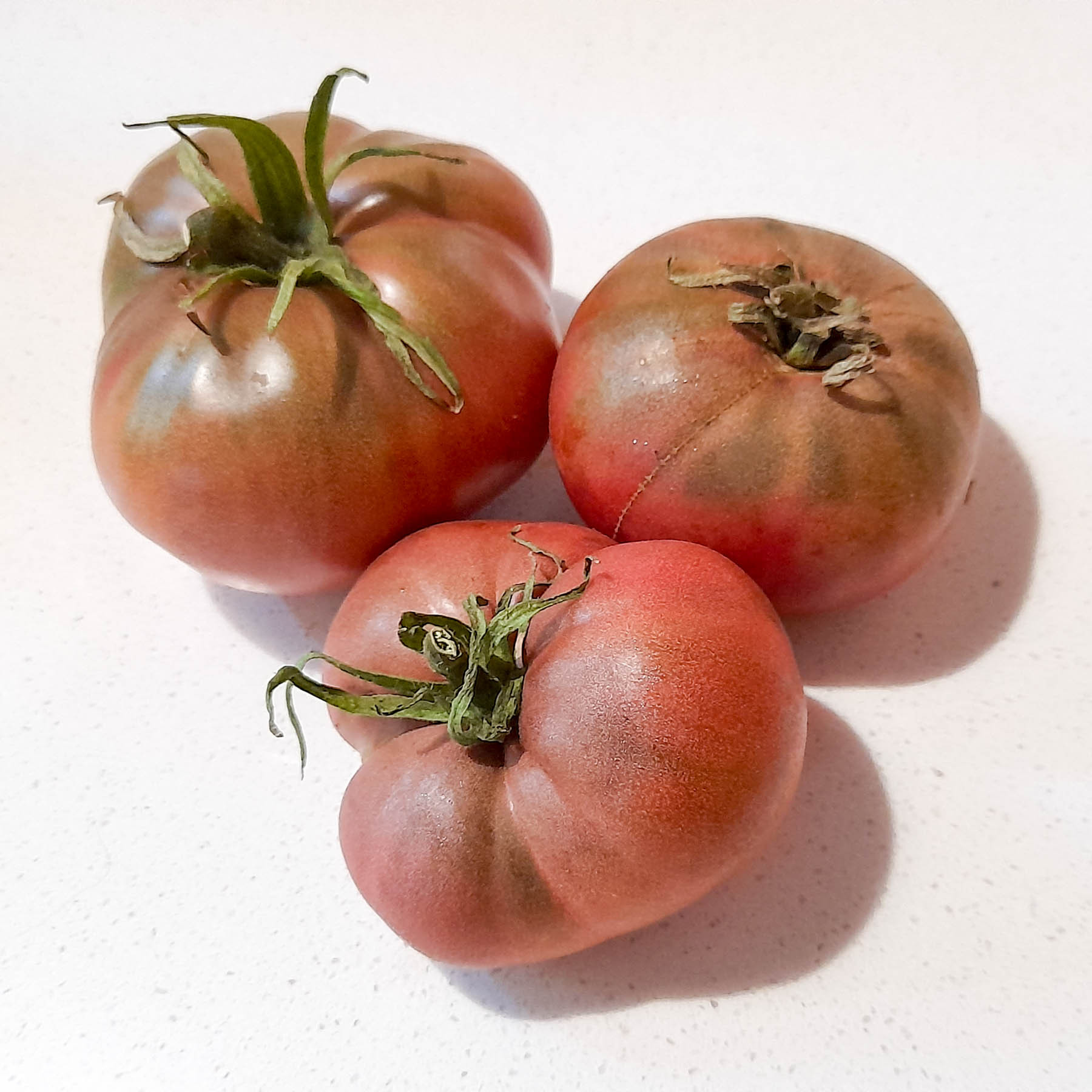 Zakopane Tomato - ORGANIC