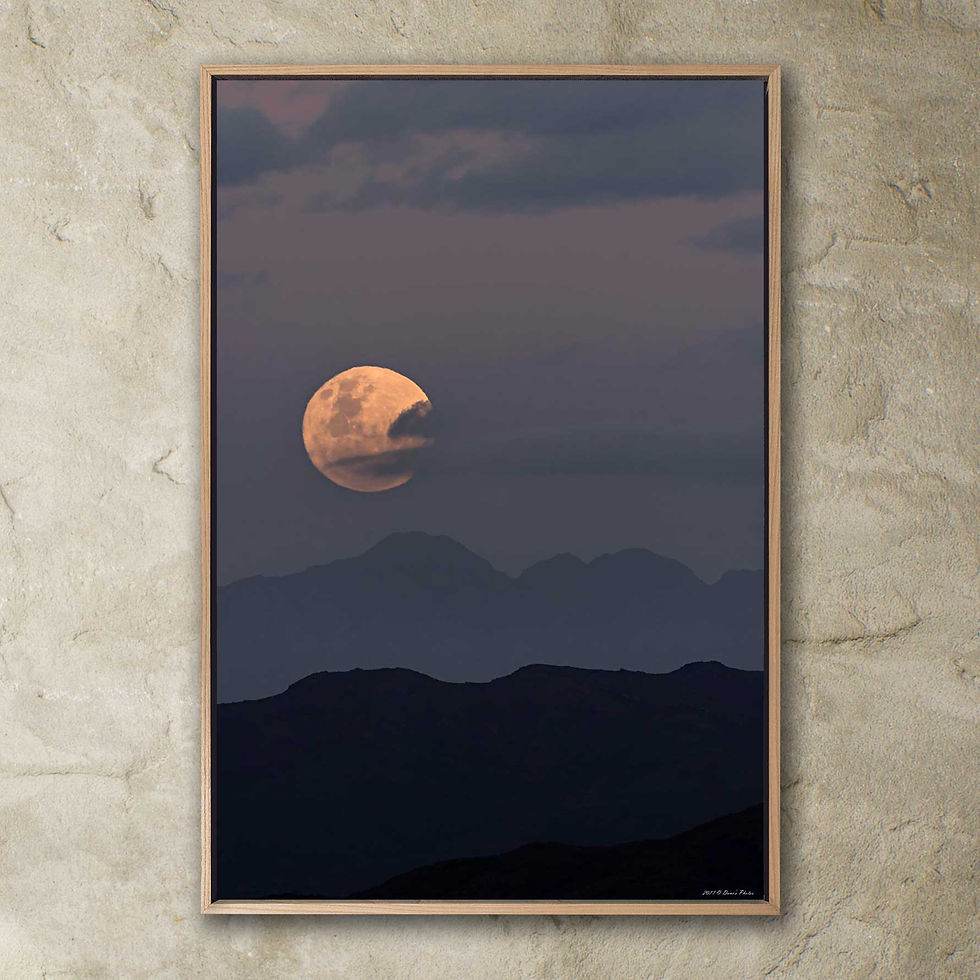 Thumbnail: 'full moon rising 1'