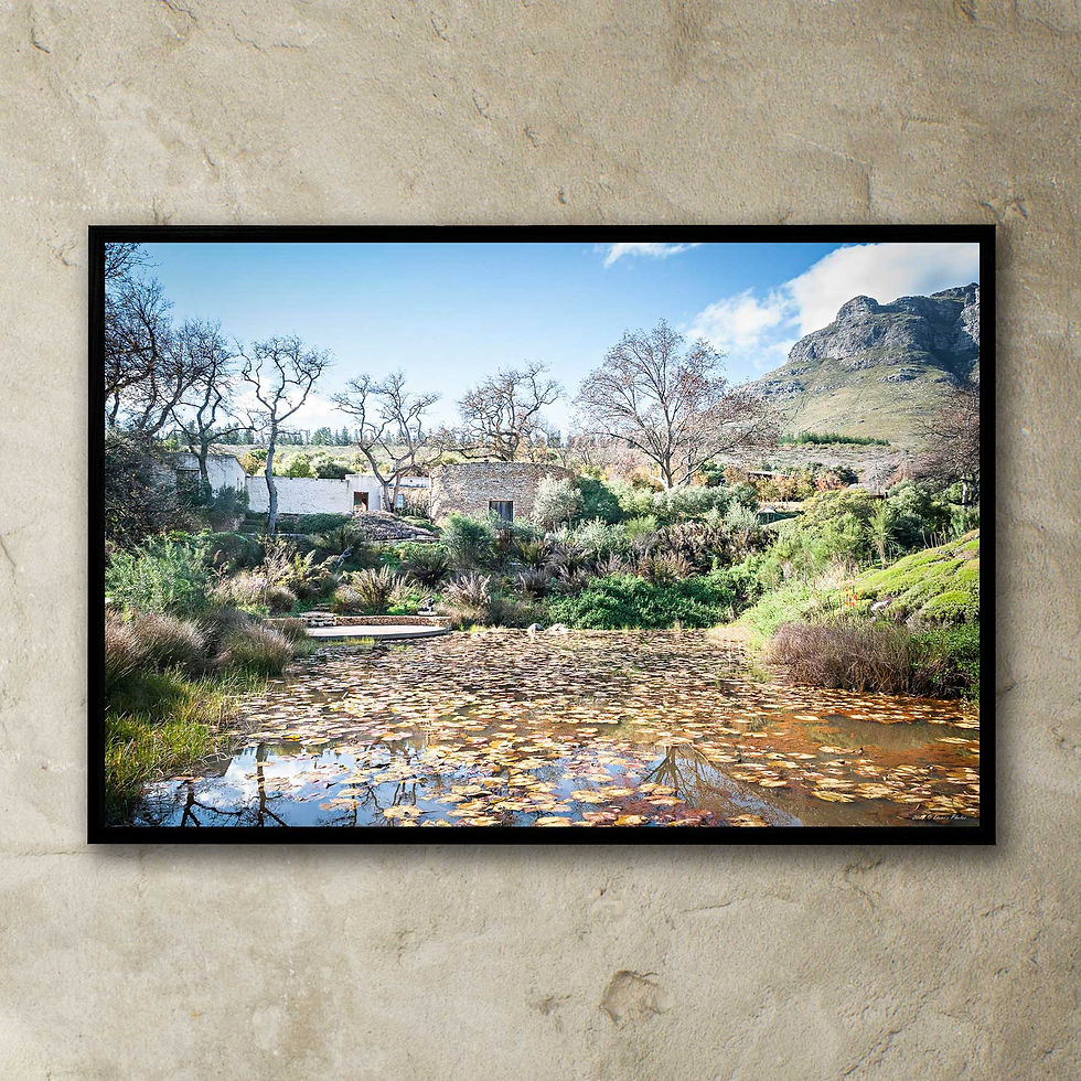 Thumbnail: 'Dylan Lewis Sculpture Garden 19'