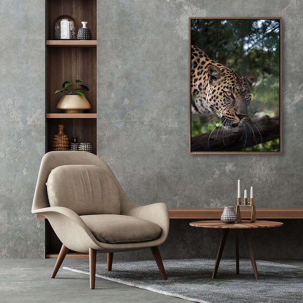 Thumbnail: 'Leopard'