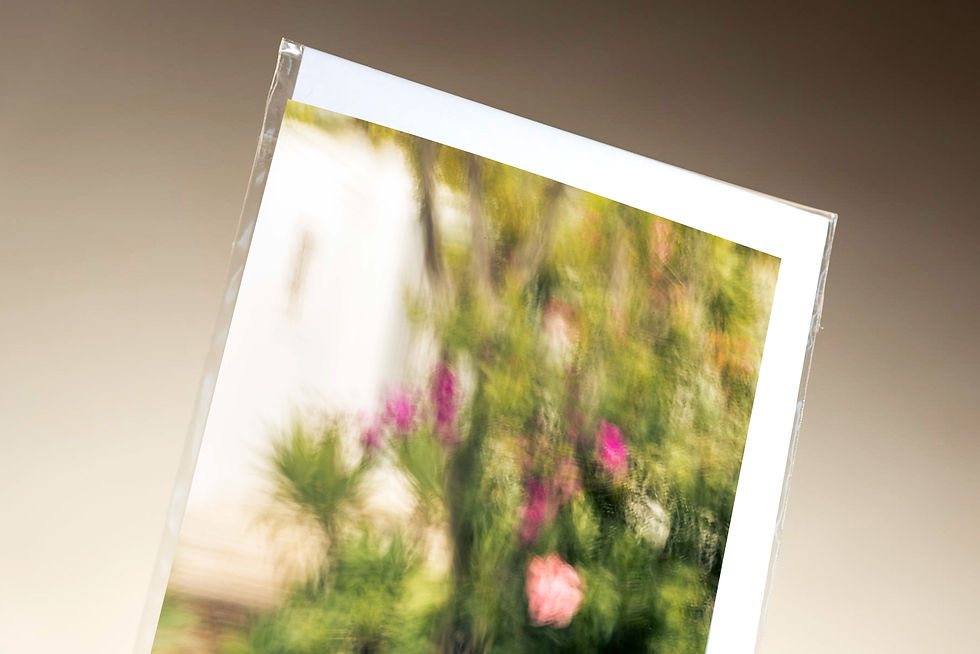 Thumbnail: 'Inner-Garden XIII'