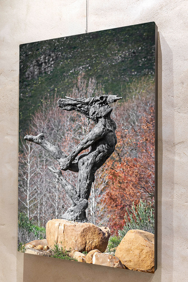 Thumbnail: 'Dylan Lewis Sculpture Garden 4'