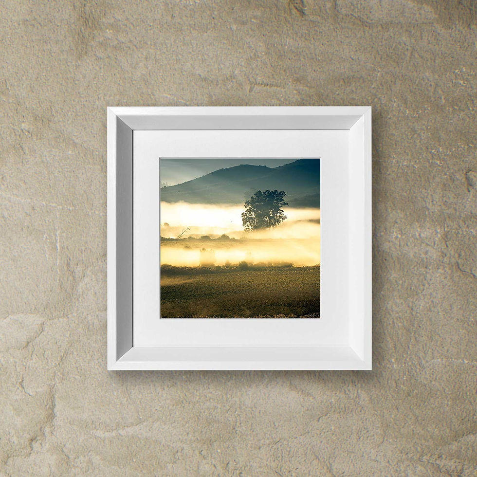 Thumbnail: 'moving stillness 1'
