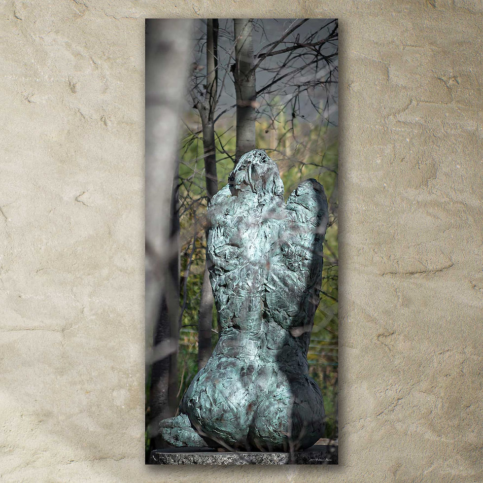 Thumbnail: 'Dylan Lewis Sculpture Garden 1' bis