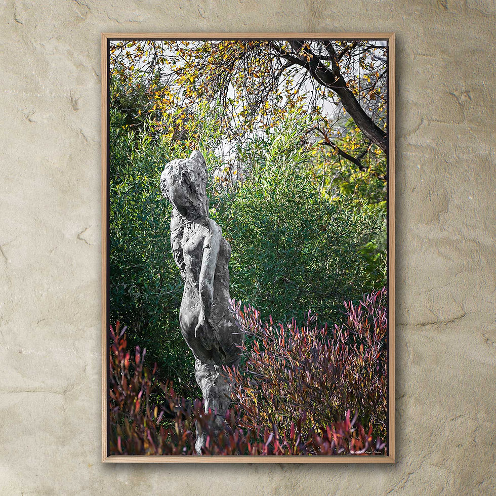 Thumbnail: 'Dylan Lewis Sculpture Garden 8'