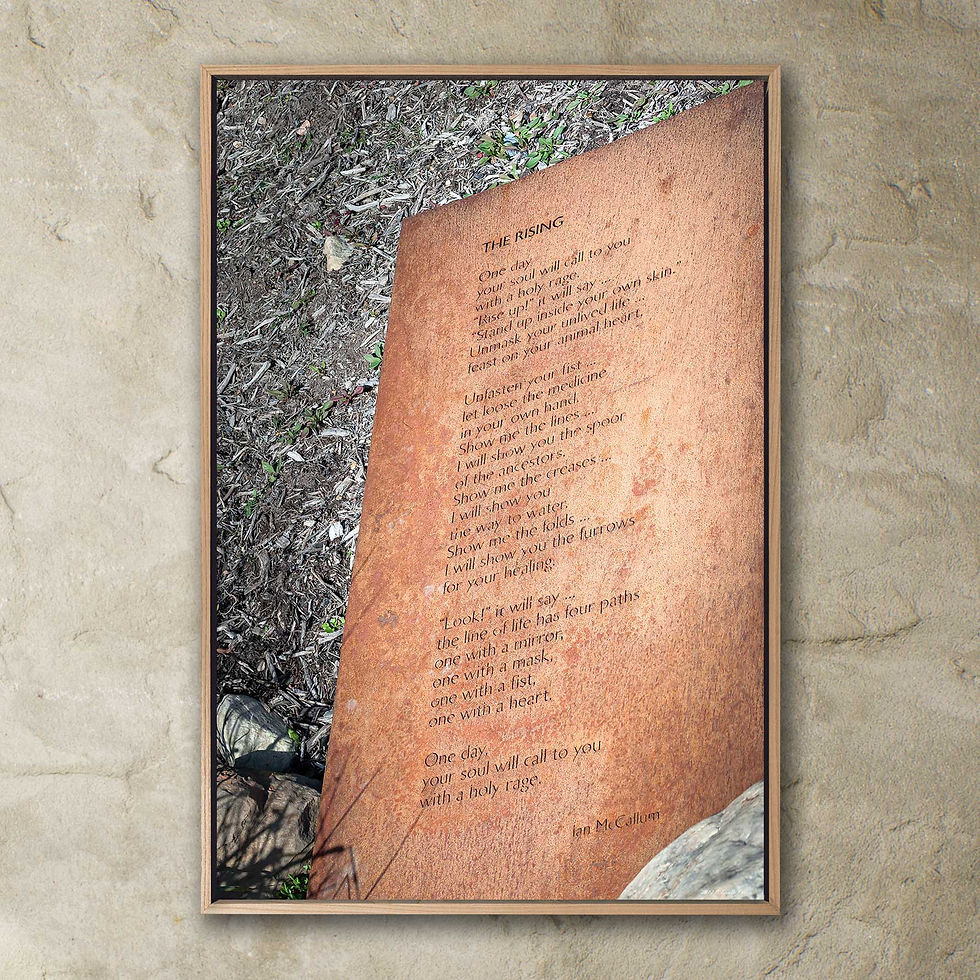 Thumbnail: 'Dylan Lewis Sculpture Garden 6'