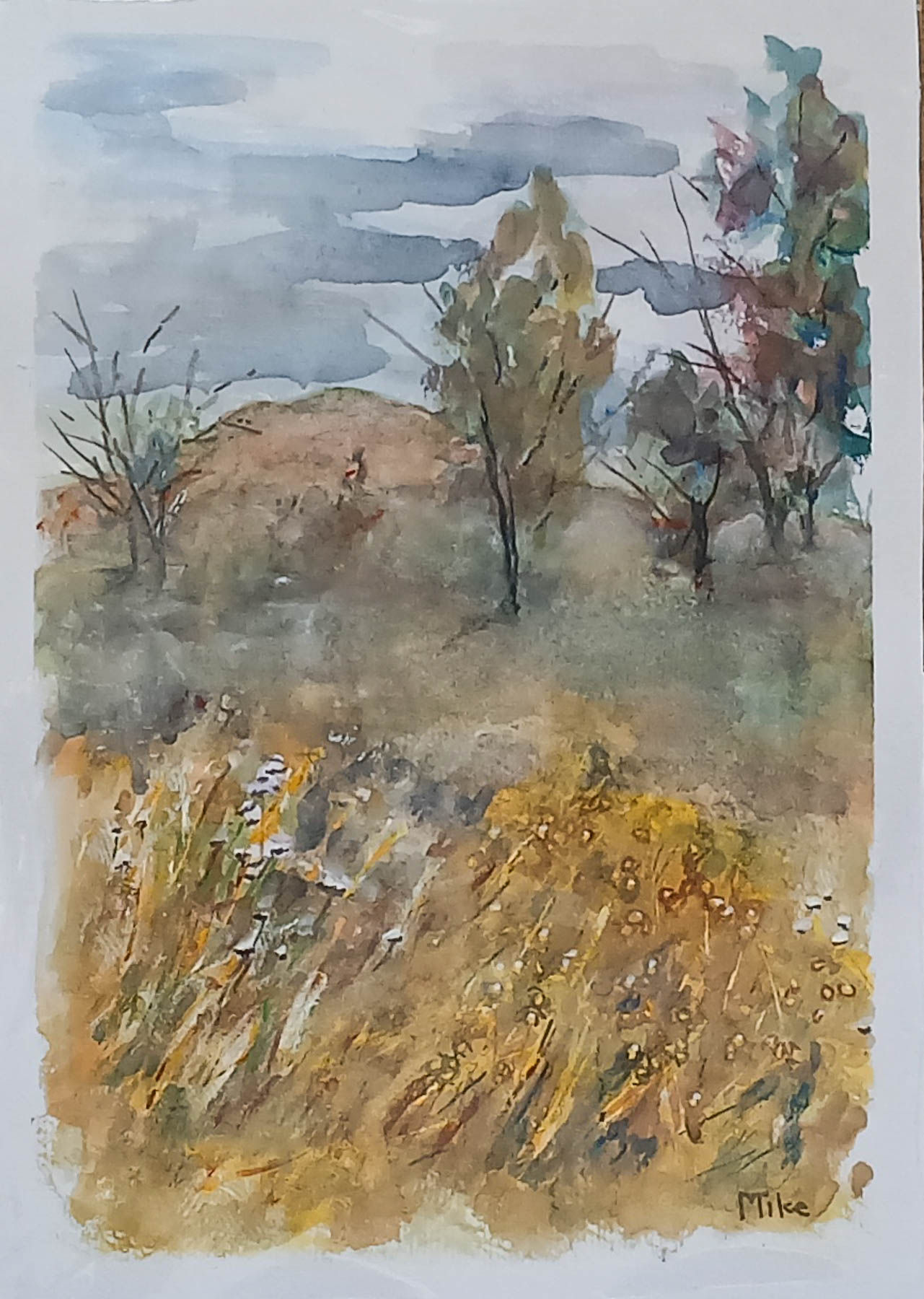In the veld