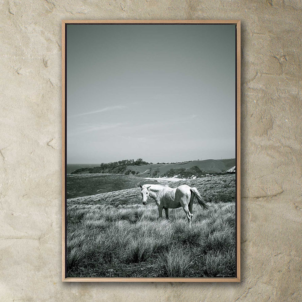 Thumbnail: 'freedom'