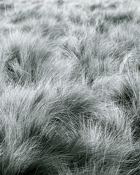 _D7N9209.jpg