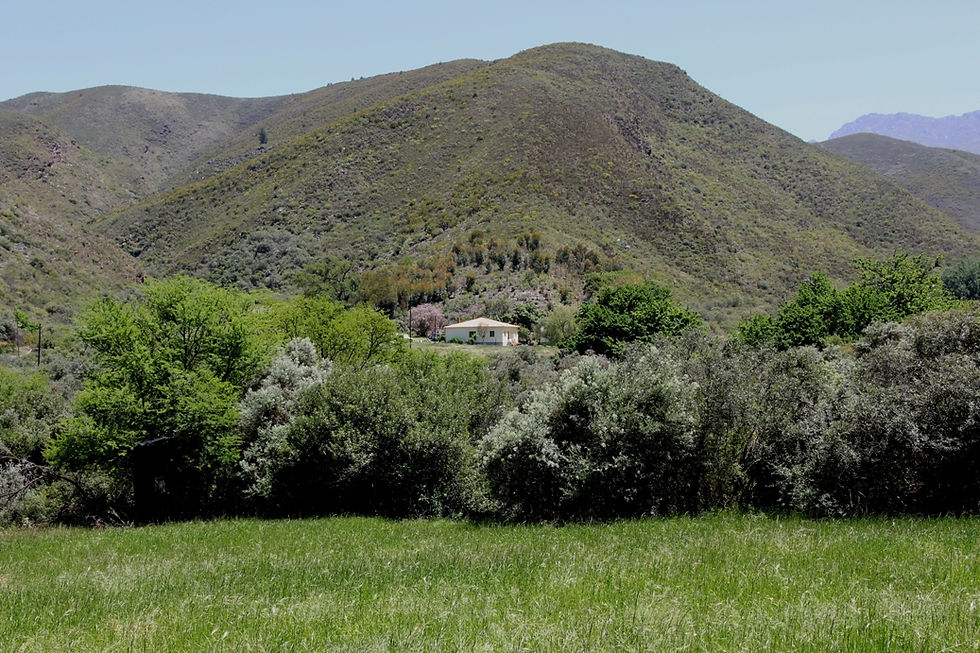 Thumbnail: ASSEGAI HOUSE