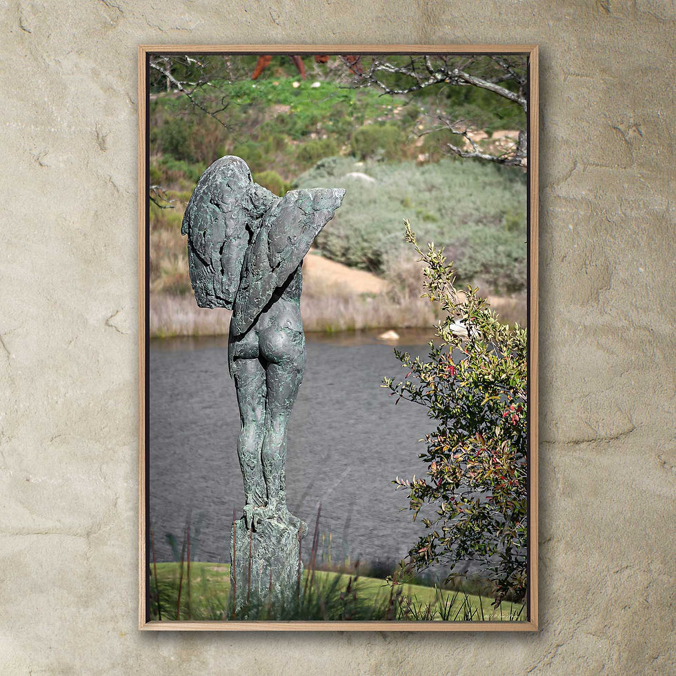 Thumbnail: 'Dylan Lewis Sculpture Garden 2'