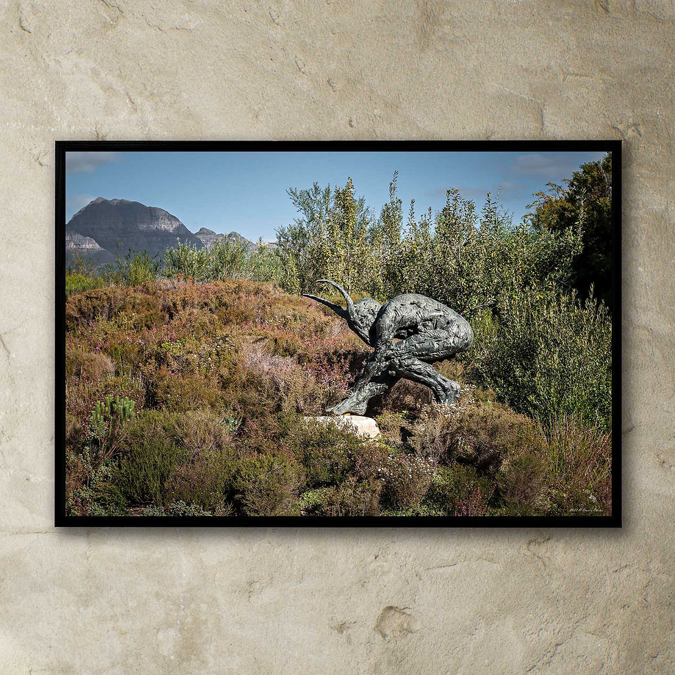 Thumbnail: 'Dylan Lewis Sculpture Garden 15'