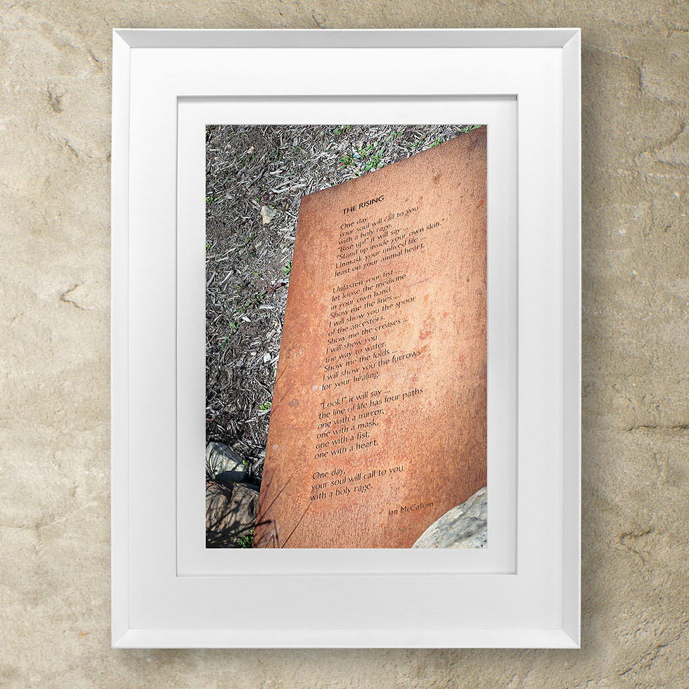 Thumbnail: 'Dylan Lewis Sculpture Garden 6'