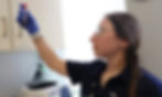 A healthcare professional at Appletree Bay Primary Care carefully examines a blood sample