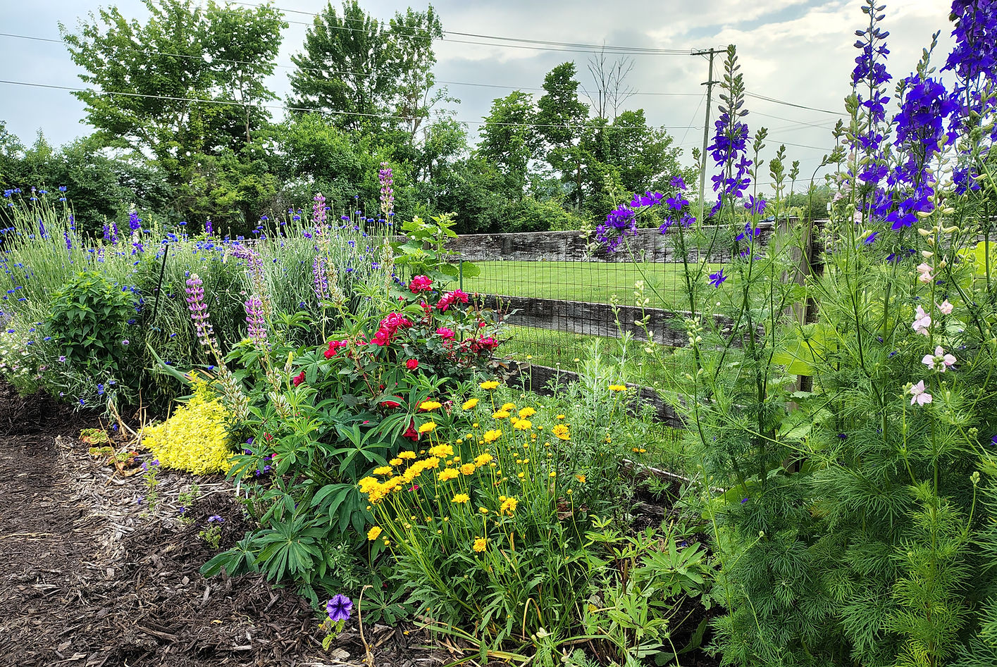 IMG_20250608_180415784_HDR.jpg