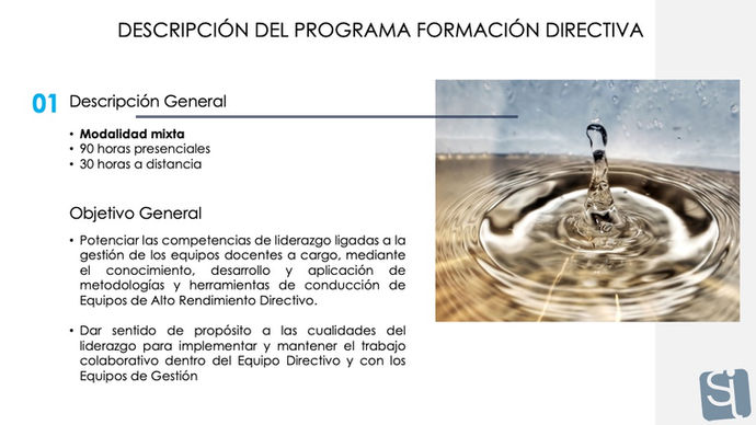 Diapositiva3.jpeg
