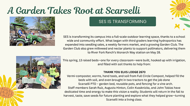 Scarcelli Garden Project 2025