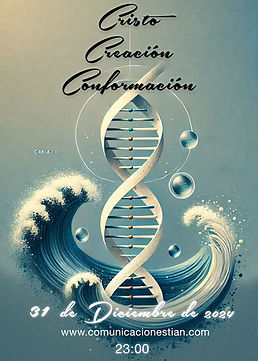 WhatsApp Image 2025-11-25 at 13.00.59.jpeg