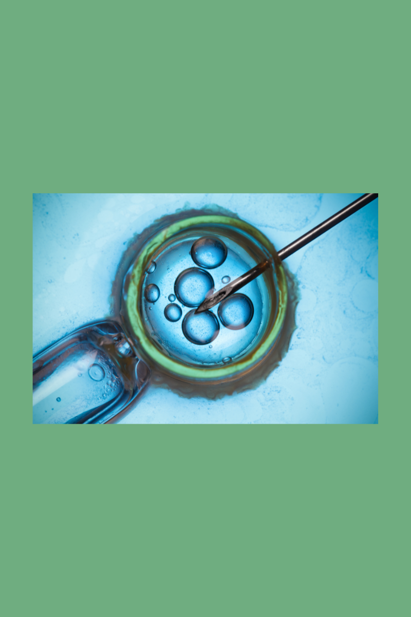 IVF-In Vitro Fertilization