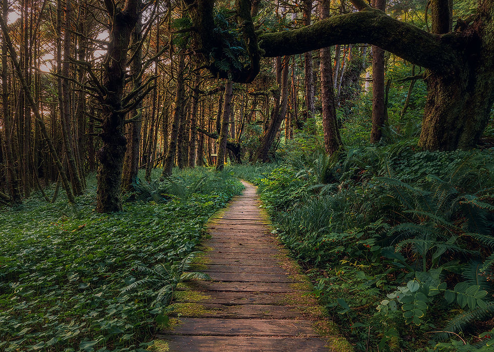 hzt_boardwalk.jpg