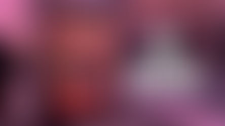 Holiday 2025 Review – Arkansas to Massachusetts