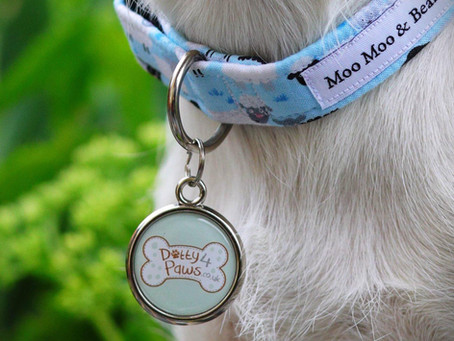 Pawesome Pet Tags partners with Dotty 4 Paws